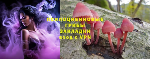 MESCALINE Аркадак