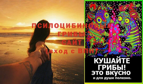 MESCALINE Аркадак