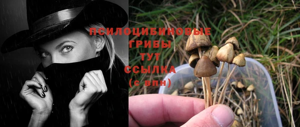MESCALINE Аркадак